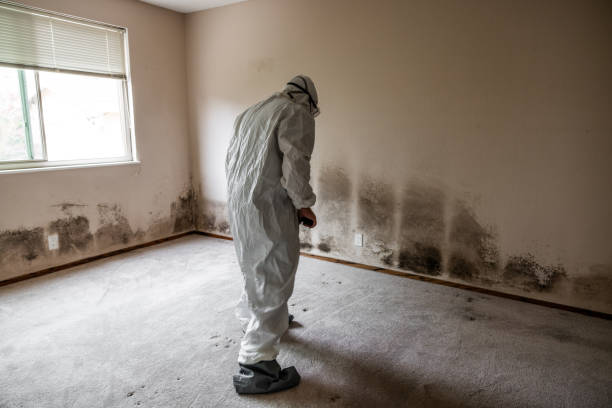 Best Biohazard Mold Removal  in USA